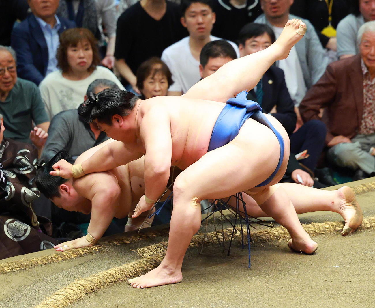 王鵬（左）を寄り倒しで破る若隆景（撮影・中島郁夫）