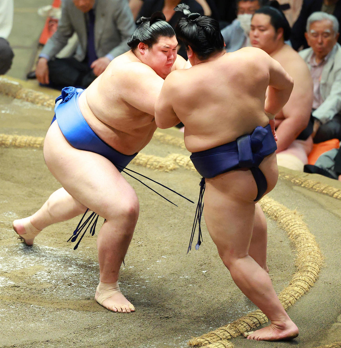 平戸海（右）を押し出しで破る大の里（撮影・中島郁夫）