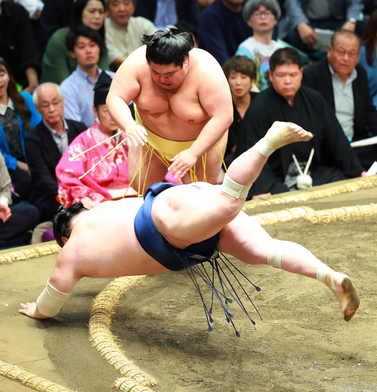 5日目、宝富士（下）をはたき込みで破る嘉陽