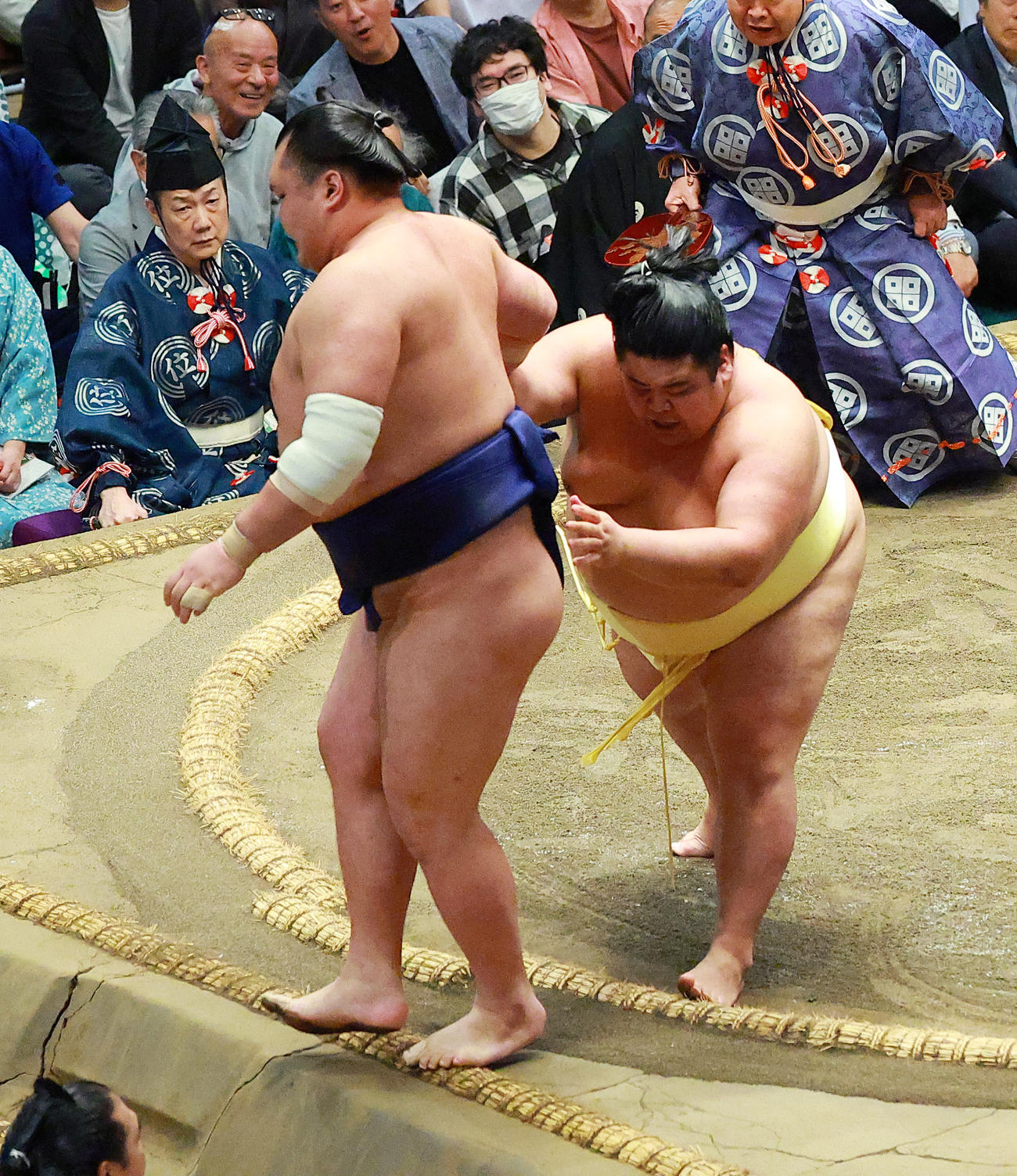 7日目、栃大海（左）を送り出しで破る嘉陽