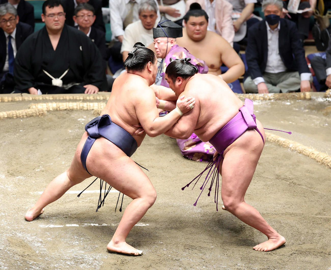 豊昇龍（左）と尊富士の取組中、転ぶ木村庄之助（後方）（撮影・鈴木正人）