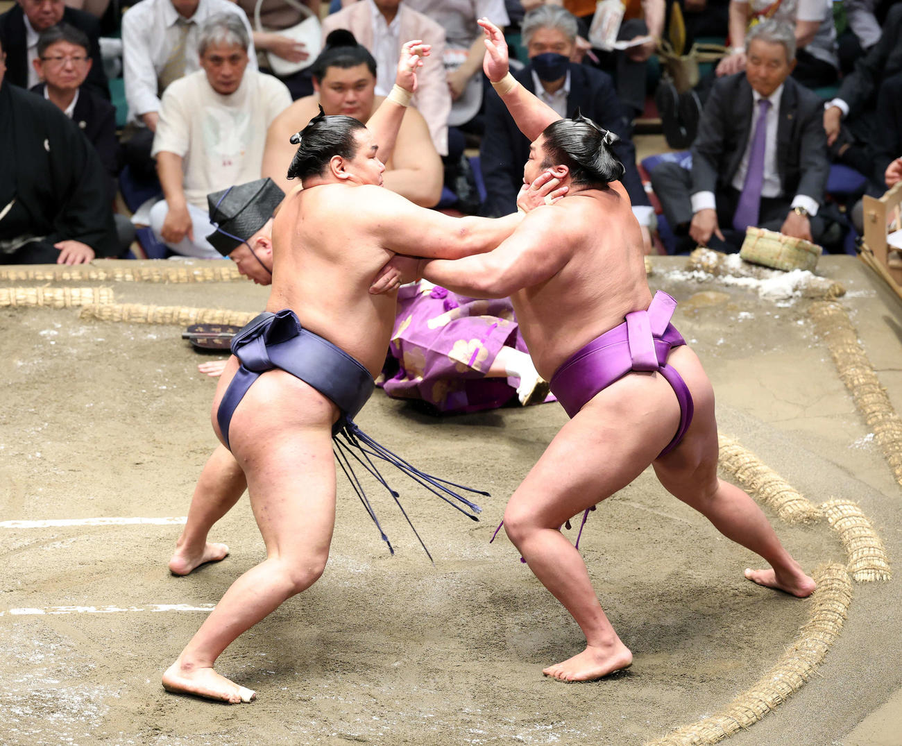 豊昇龍（左）と尊富士の取組中、転ぶ木村庄之助（後方）（撮影・鈴木正人）