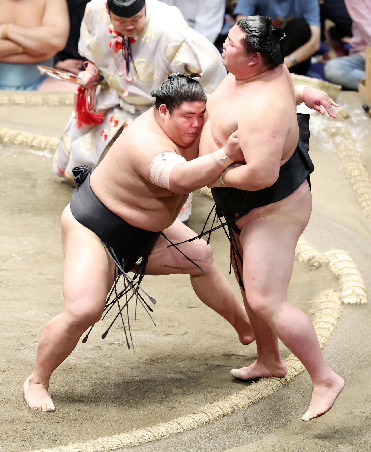 正代（右）を寄り切りで破る伯桜鵬（撮影・鈴木正人）