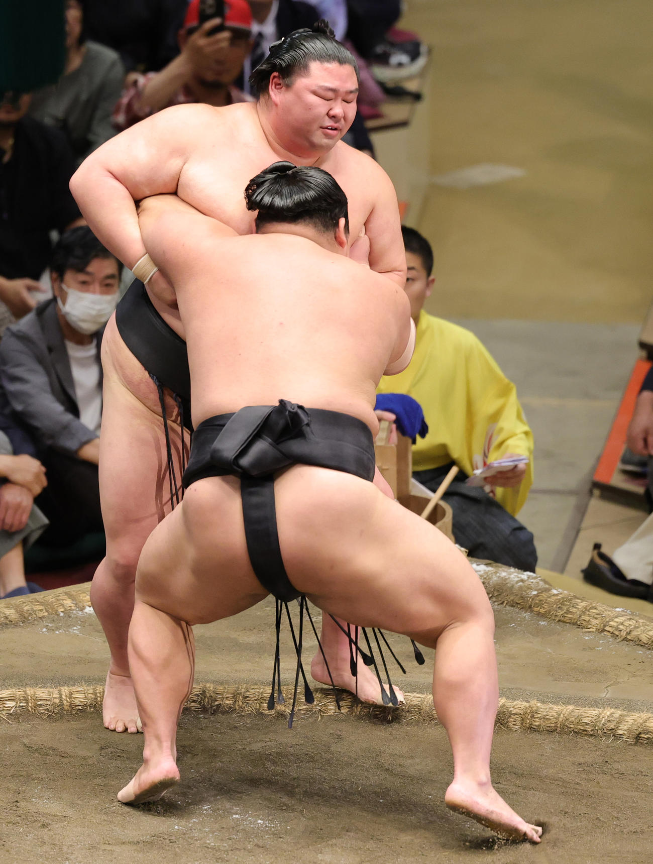 正代を寄りきりで破る伯桜鵬（撮影・野上伸悟）
