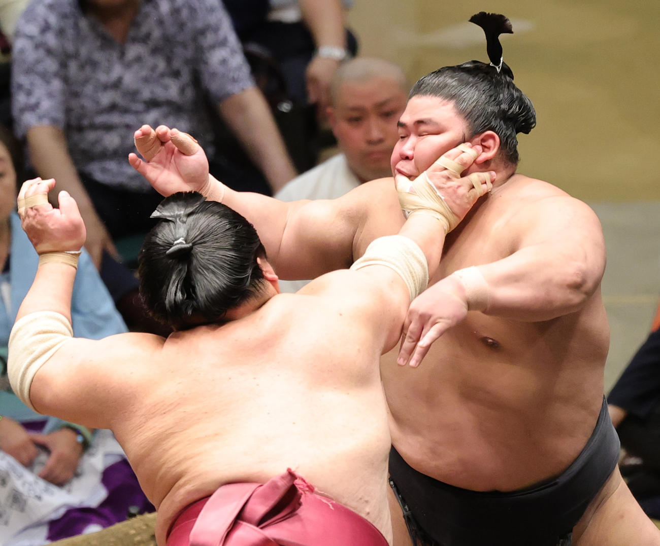 大栄翔（左）に突っ張られる伯桜鵬（撮影・野上伸悟）