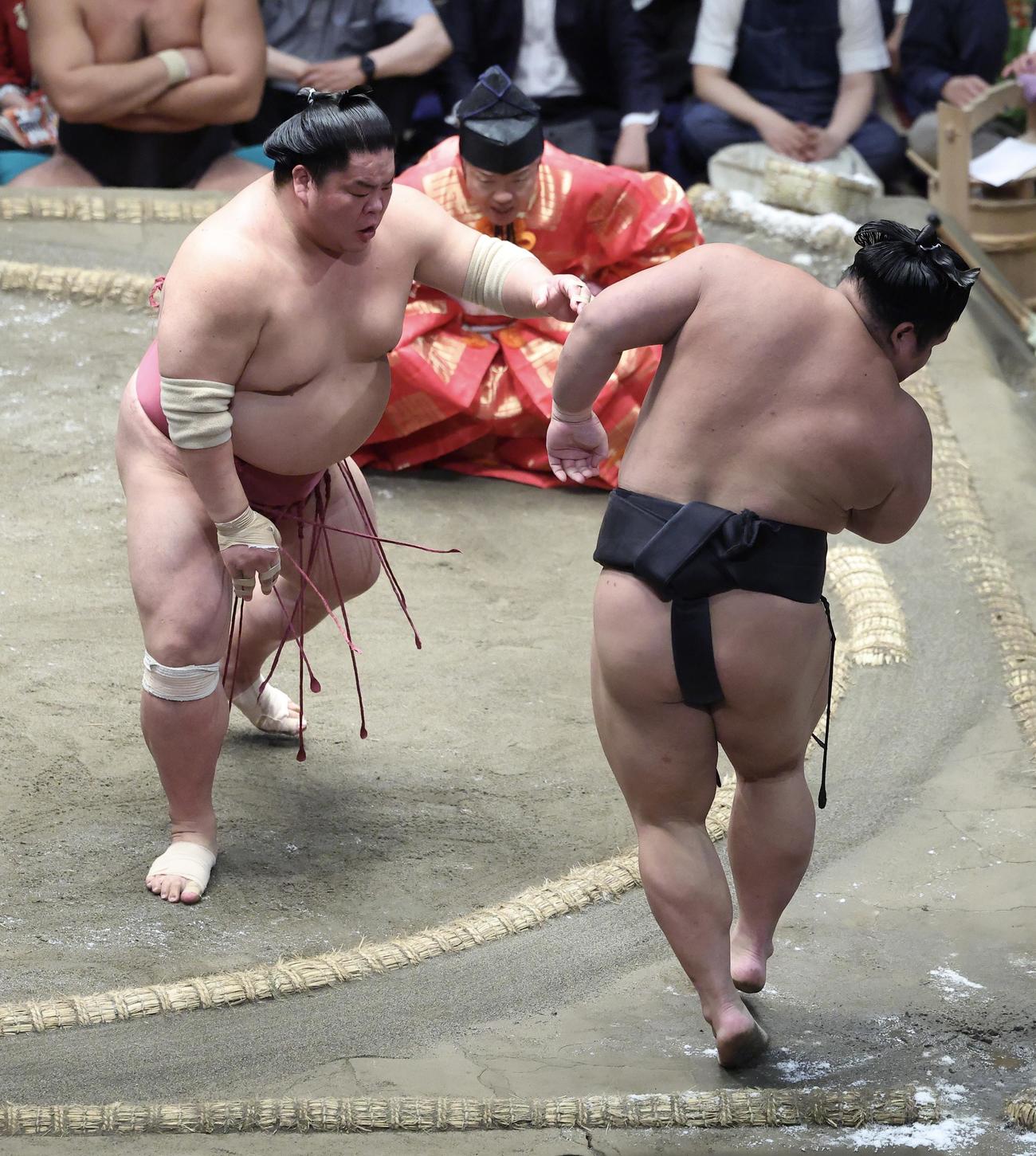 大栄翔（左）は伯桜鵬を突き出しで破る（撮影・河田真司）