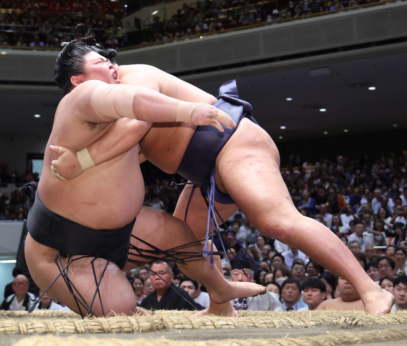 伯桜鵬（左）は腰砕けで豊昇龍に敗れる（撮影・河田真司）