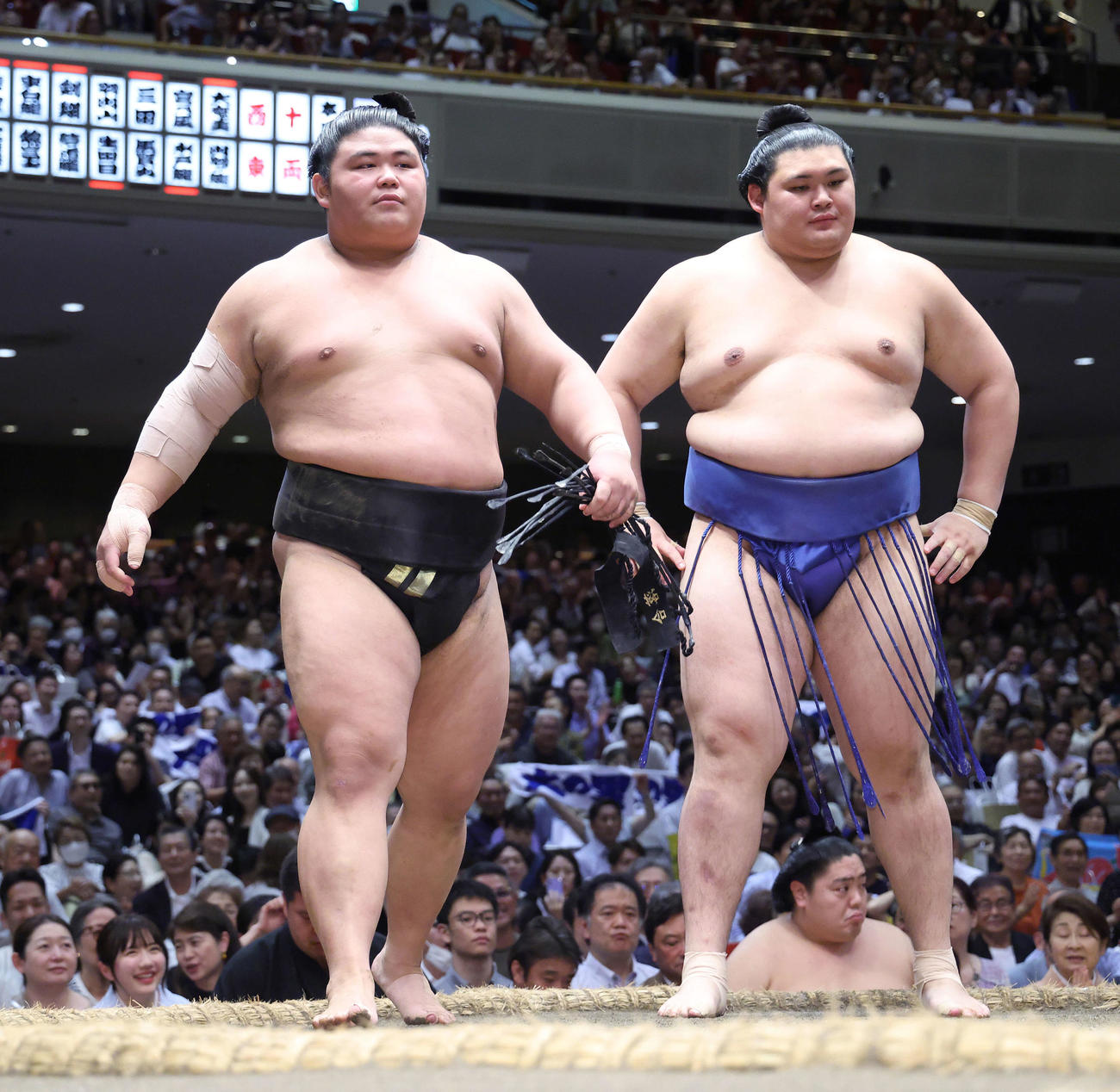 伯桜鵬（左）をはたき込みで破る大の里（撮影・河田真司）