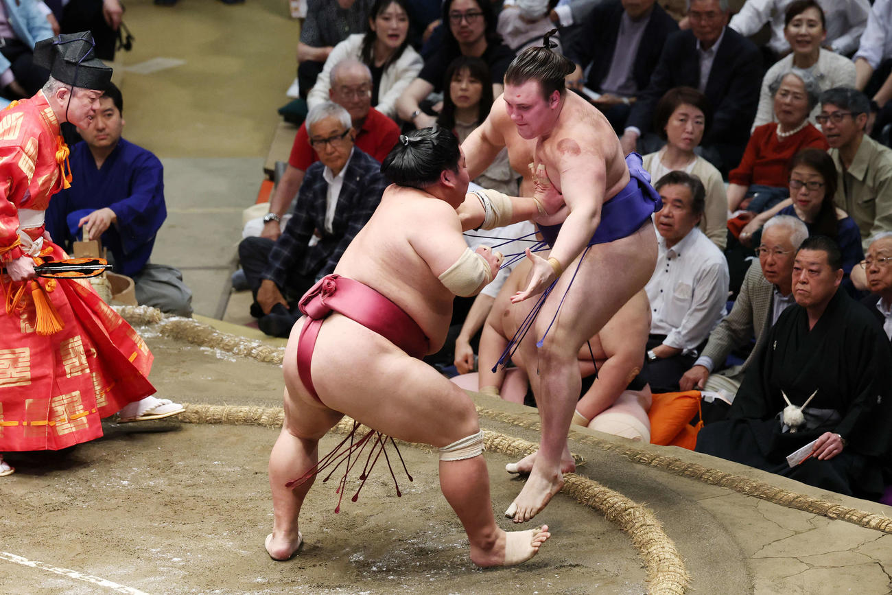 突き出しで安青錦（右）を破る大栄翔（撮影・宮地輝）