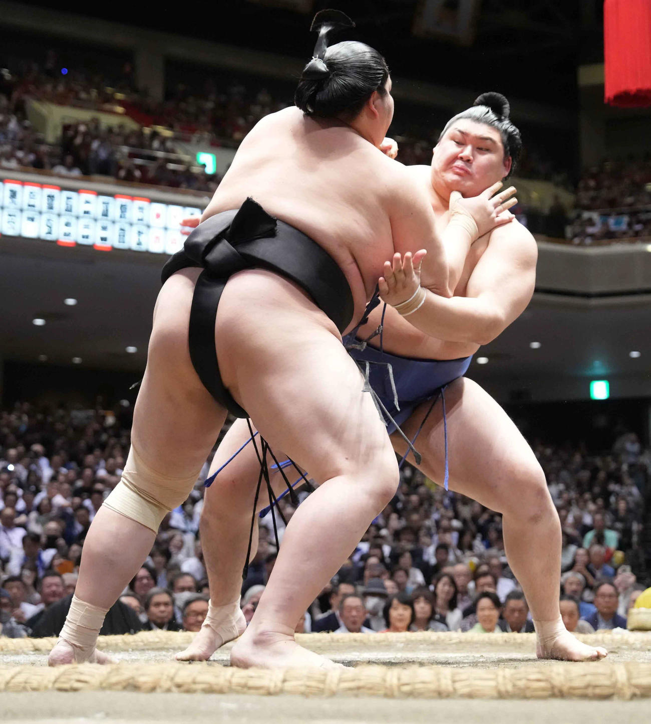 琴桜（左）を土俵際へ攻め込む大の里（撮影・小沢裕）
