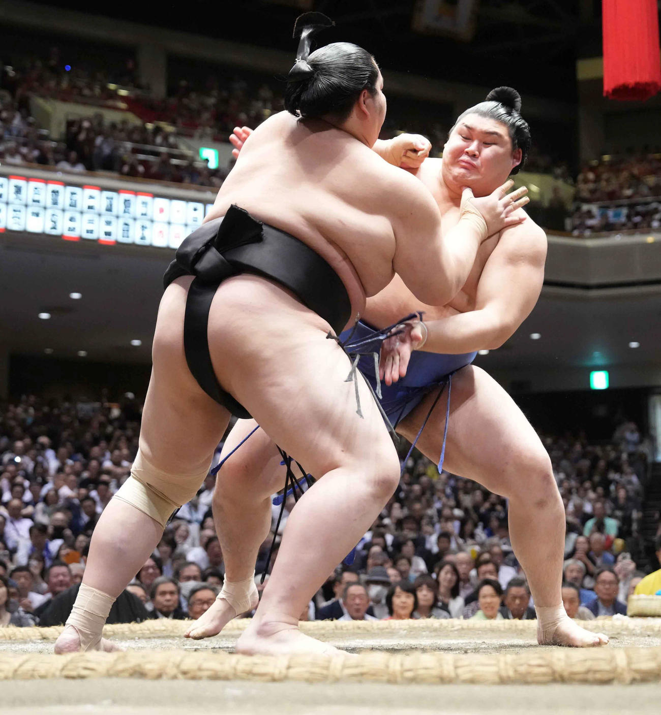 琴桜（左）を土俵際へ攻め込む大の里（撮影・小沢裕）