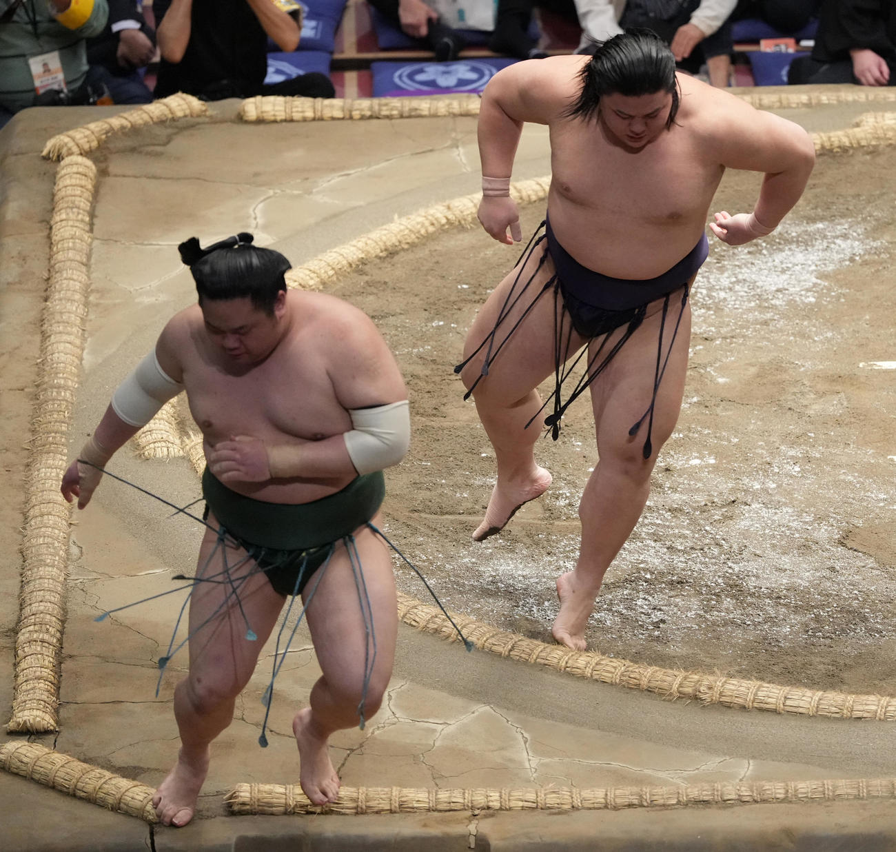 東白龍（左）を押し出しで破る草野（撮影・小沢裕）