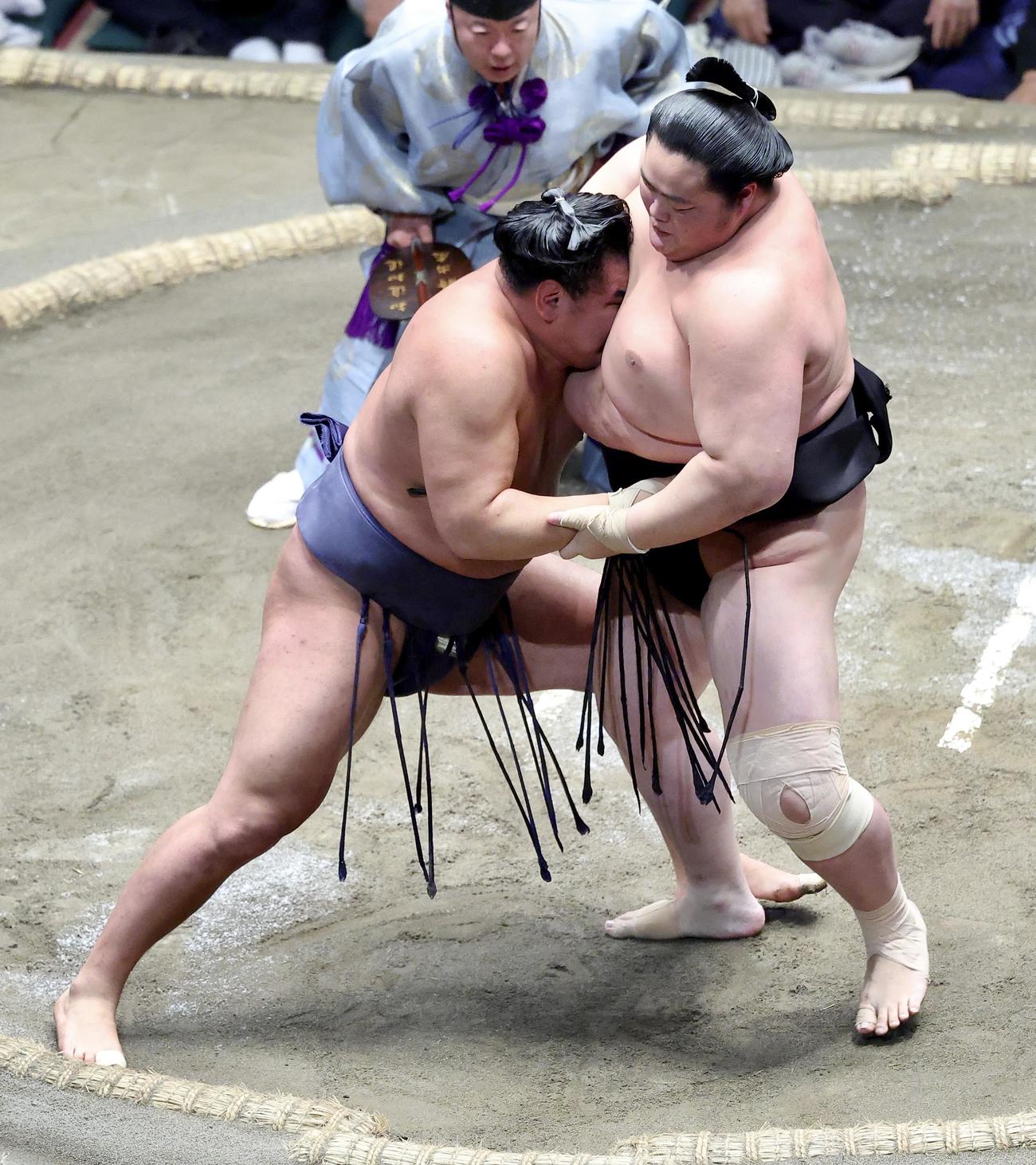 激しくぶつかり合う豊昇龍（左）と琴桜（撮影・河田真司）