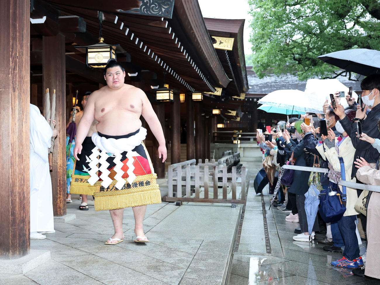 明治神宮奉納土俵入りを終え引き揚げる大の里（撮影・鈴木正人）