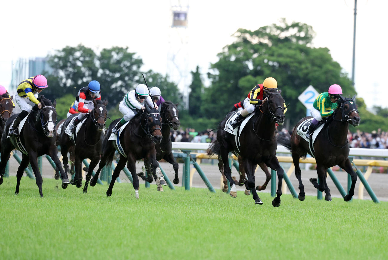 東京11R　日本ダービーを制したクロワデュノール（右から2頭目）と北村騎手（撮影・鈴木正人）