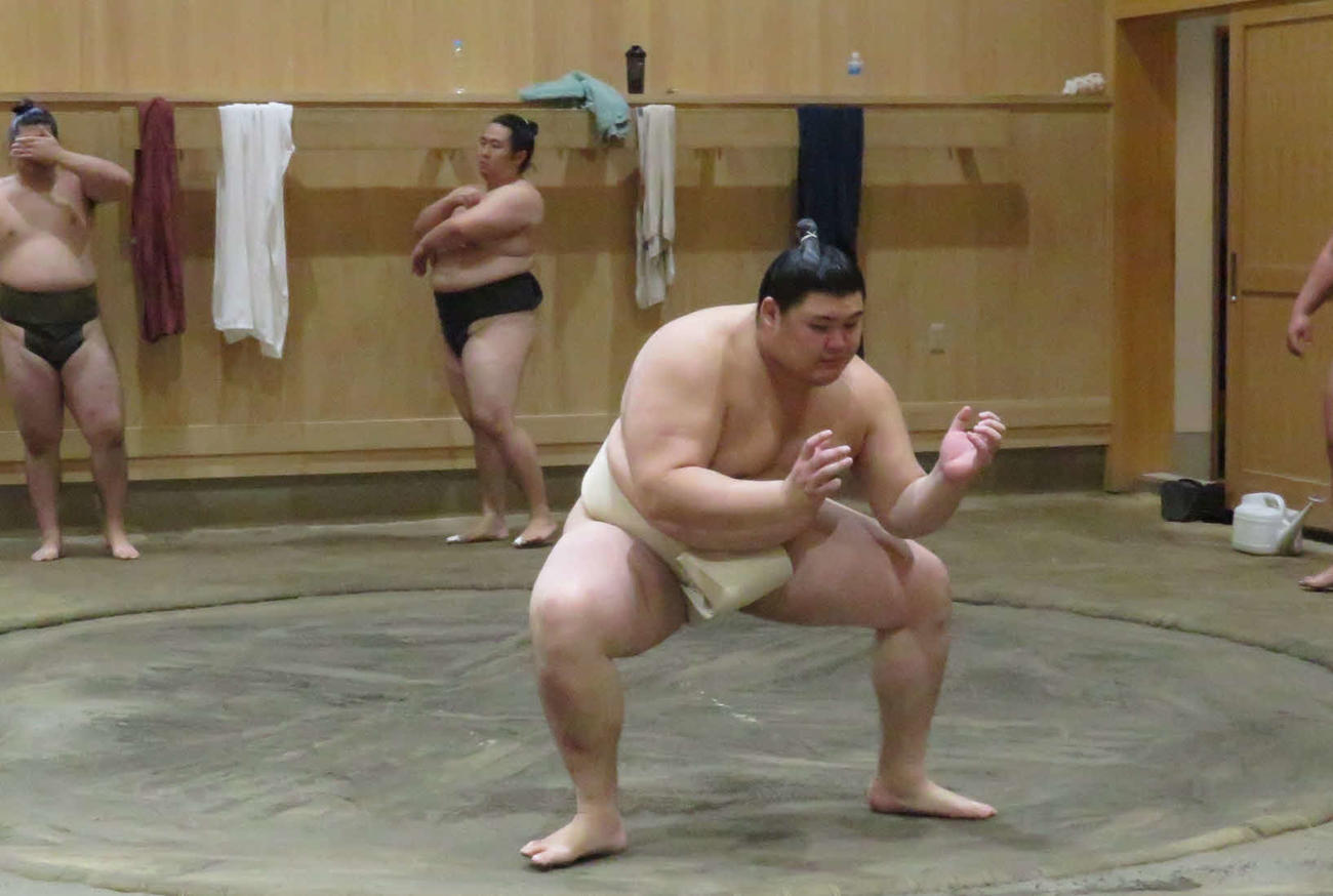 稽古を再開し、基礎運動を繰り返した大の里