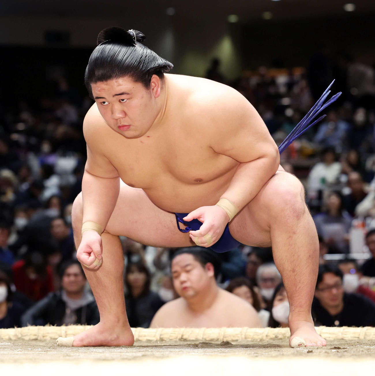 「藤ノ川」に改名した若碇