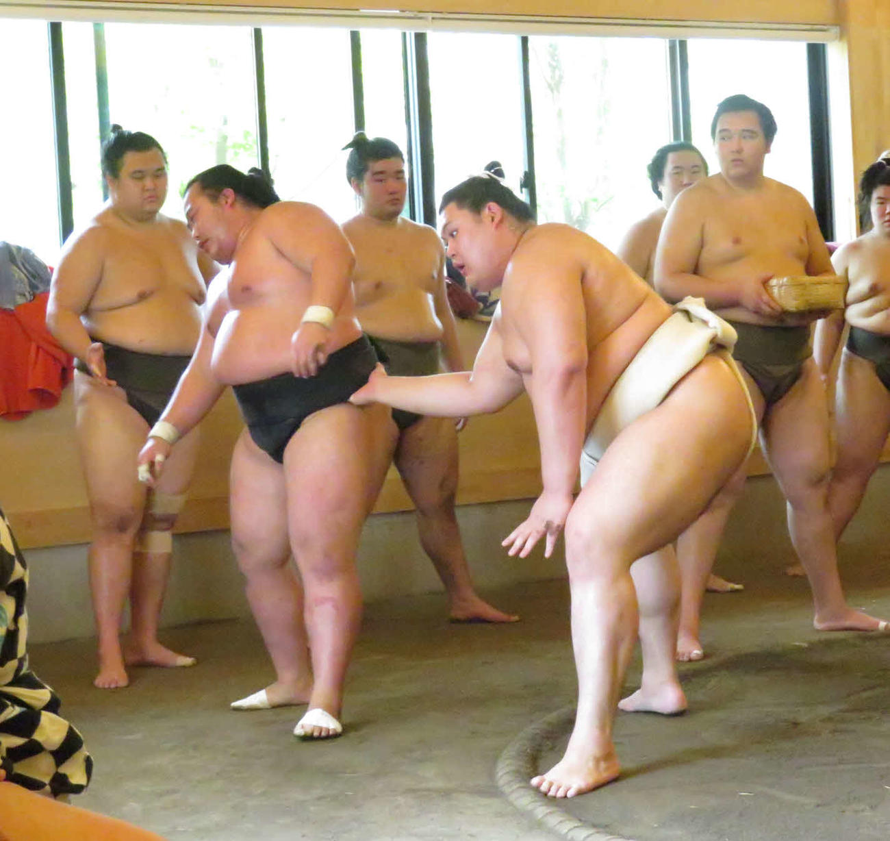 相撲を取る稽古を再開した大の里（手前右）は、右上手を引きつける攻めを多く見せて幕下花の海（同左）を圧倒した