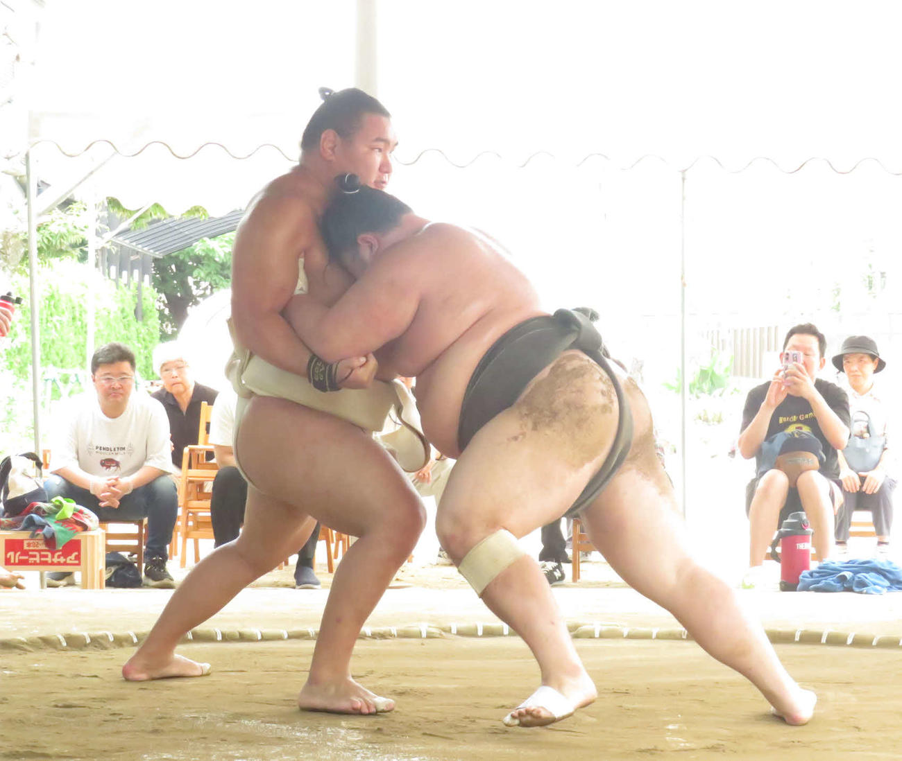 稽古で若い衆に胸を出した豊昇龍（左）
