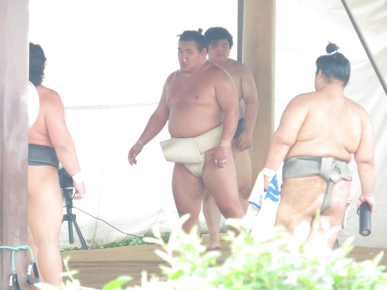 伊勢ケ浜部屋を訪れた豊昇龍（中央）は、鼻血を止めながら稽古を重ねた