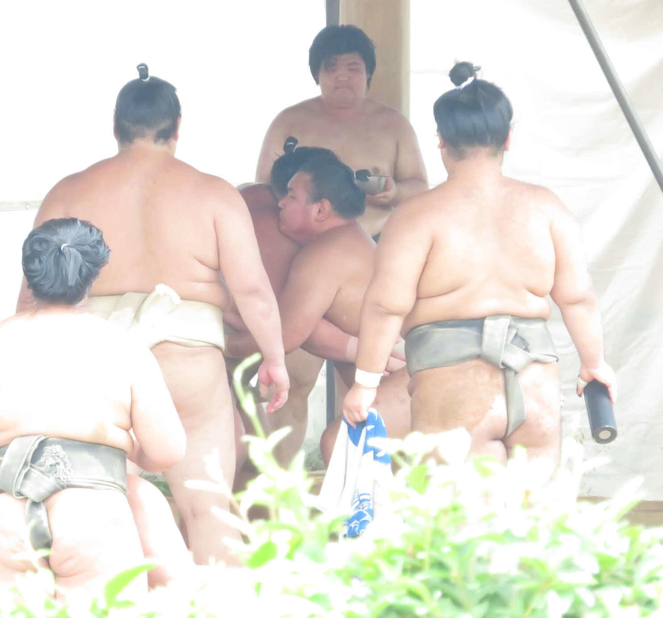 伊勢ケ浜部屋を訪れた豊昇龍（中央右）は伯桜鵬と稽古を重ねた
