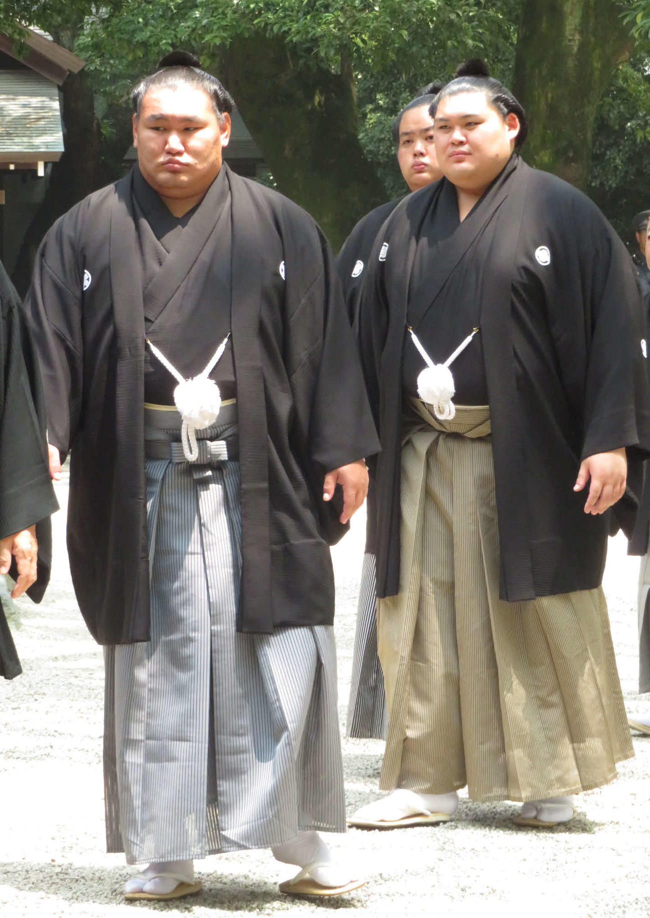 熱田神宮を参拝した左から豊昇龍、琴桜、大の里