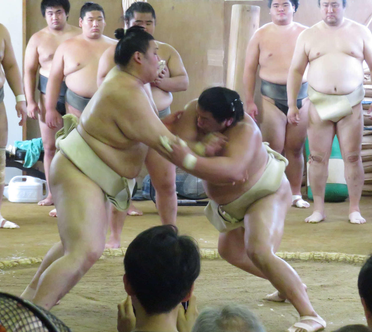 境川部屋に出稽古した大の里（手前左）は、平戸海（同左）と相撲を取る稽古を重ねた