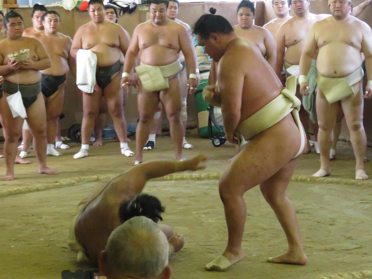 ともに境川部屋に出稽古に来た豊昇龍（手前右）は、高安（同左）をすくい投げで転がした
