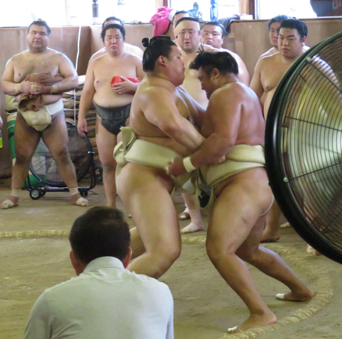 ともに境川部屋に出稽古に来た大の里（手前左）は、霧島（同右）を寄り切った