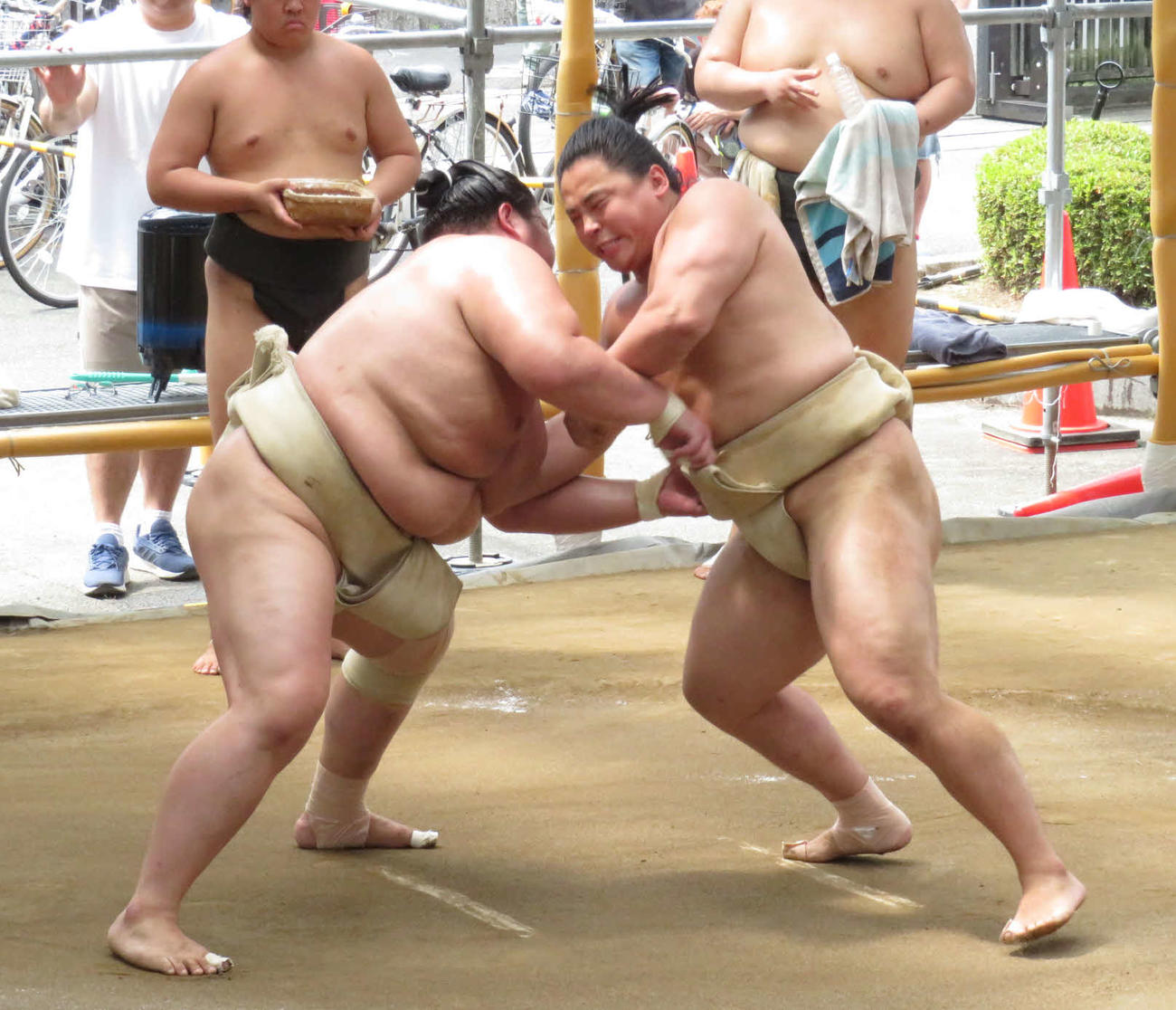 琴桜（左）に立ち合いから激しくぶつかる琴栄峰