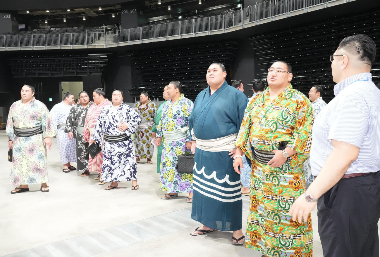 名古屋場所の会場を見る（右・2人目から）豊昇龍と大の里（2025年7月1日撮影）