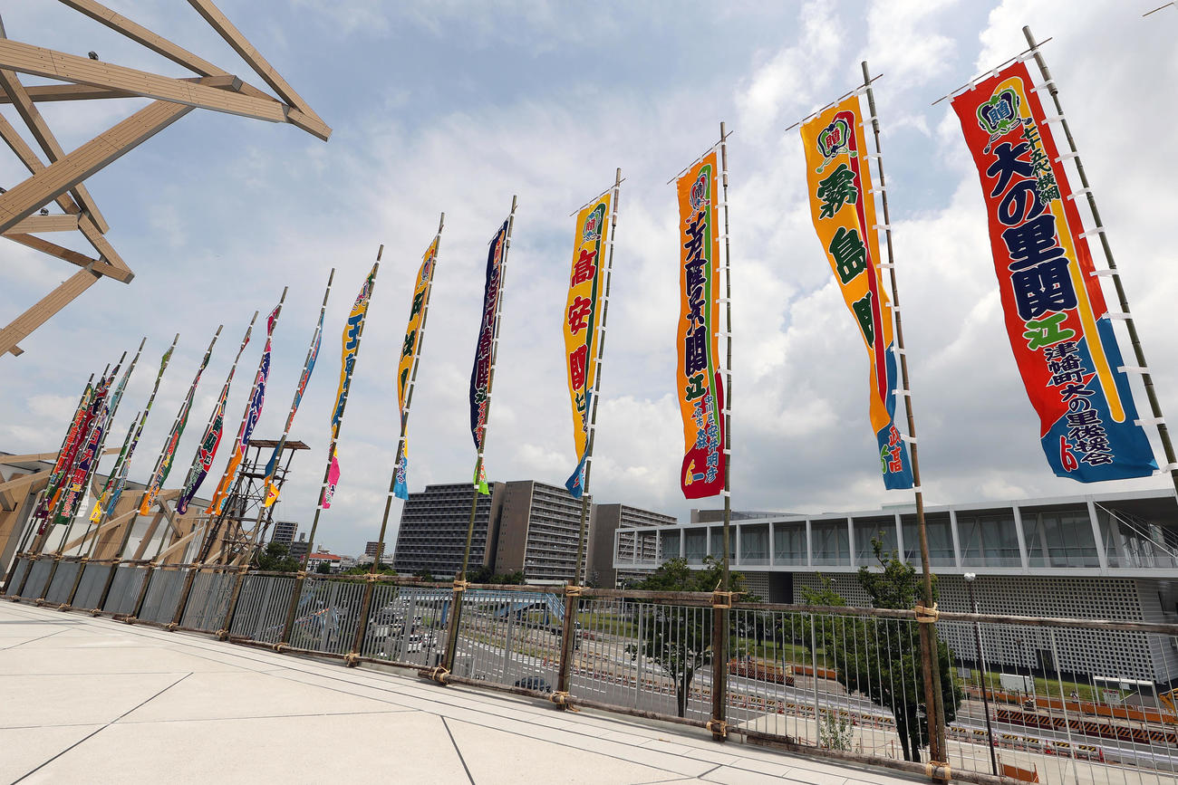 風になびく新横綱大の里（右端）らののぼり旗（撮影・前田充）