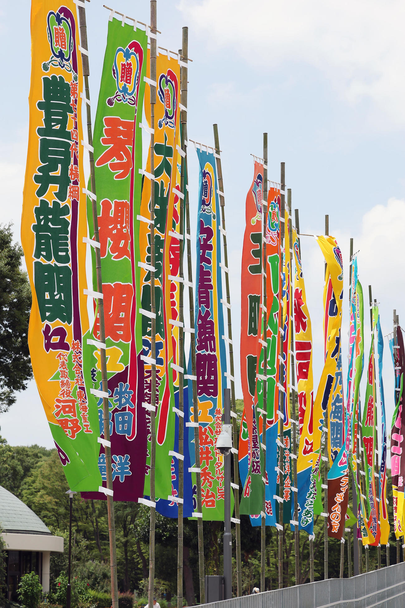 風になびく横綱豊昇龍（左端）らののぼり旗（撮影・前田充）