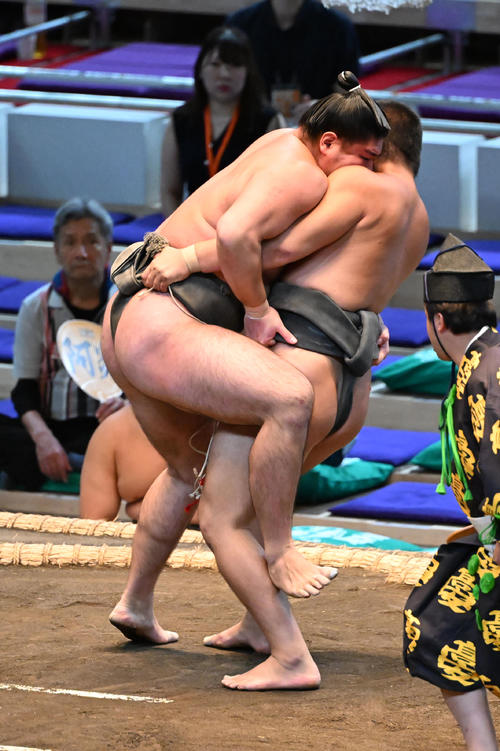 尾上親方のおい、元十両竜虎の弟、竜翔が黒星デビュー 端正な顔立ちの