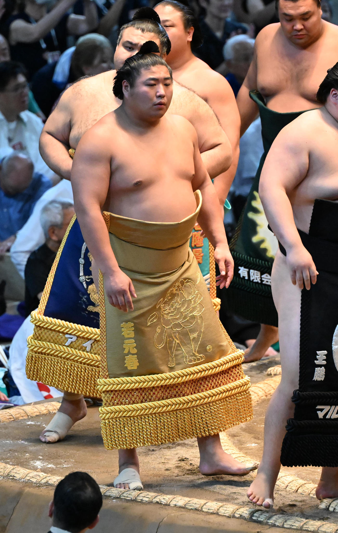 若元春　化粧まわし（撮影・和賀正仁）