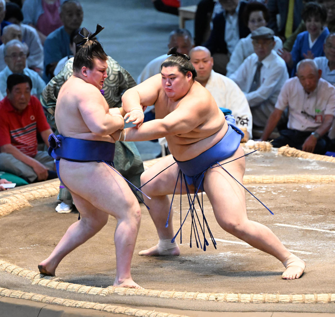 安青錦（左）を押し出しで破る大の里（撮影・和賀正仁）