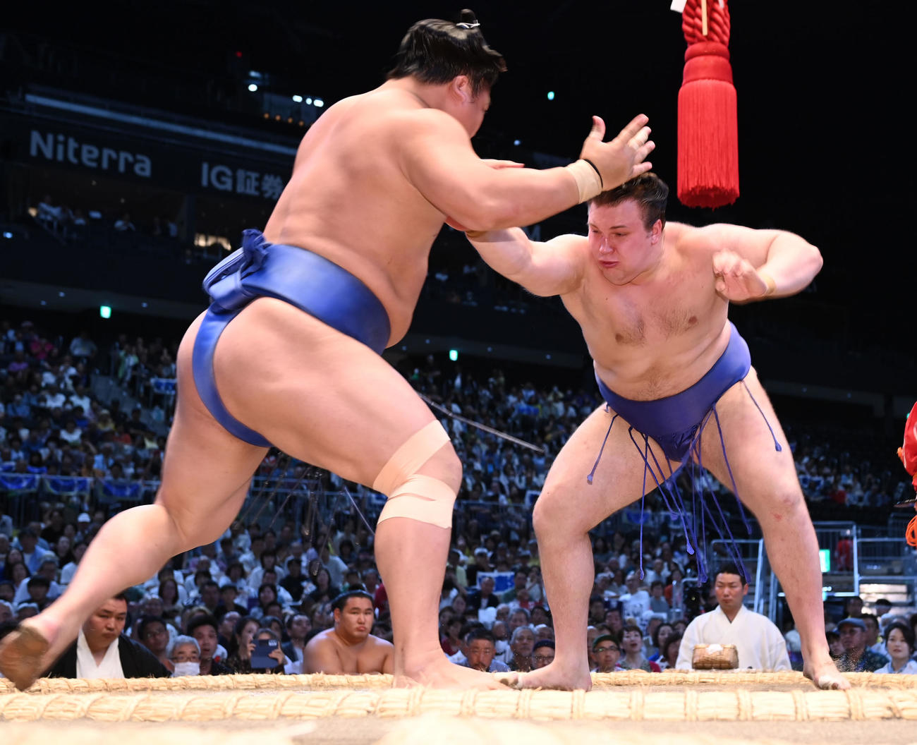 安青錦（右）は若隆景を押し出しで破る（撮影・森本幸一）
