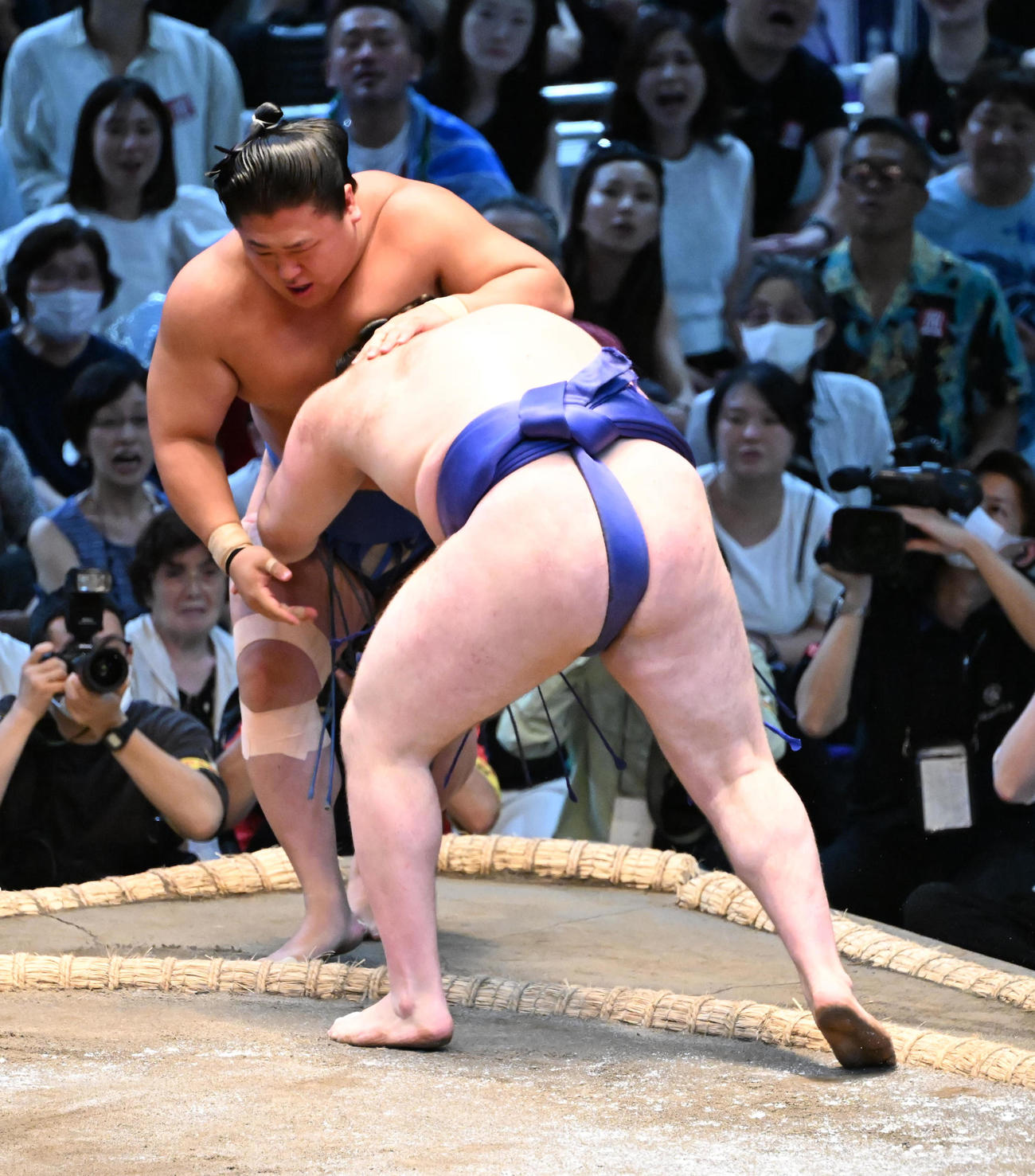 安青錦（手前）は押し出しで若隆景を破る（撮影・和賀正仁）