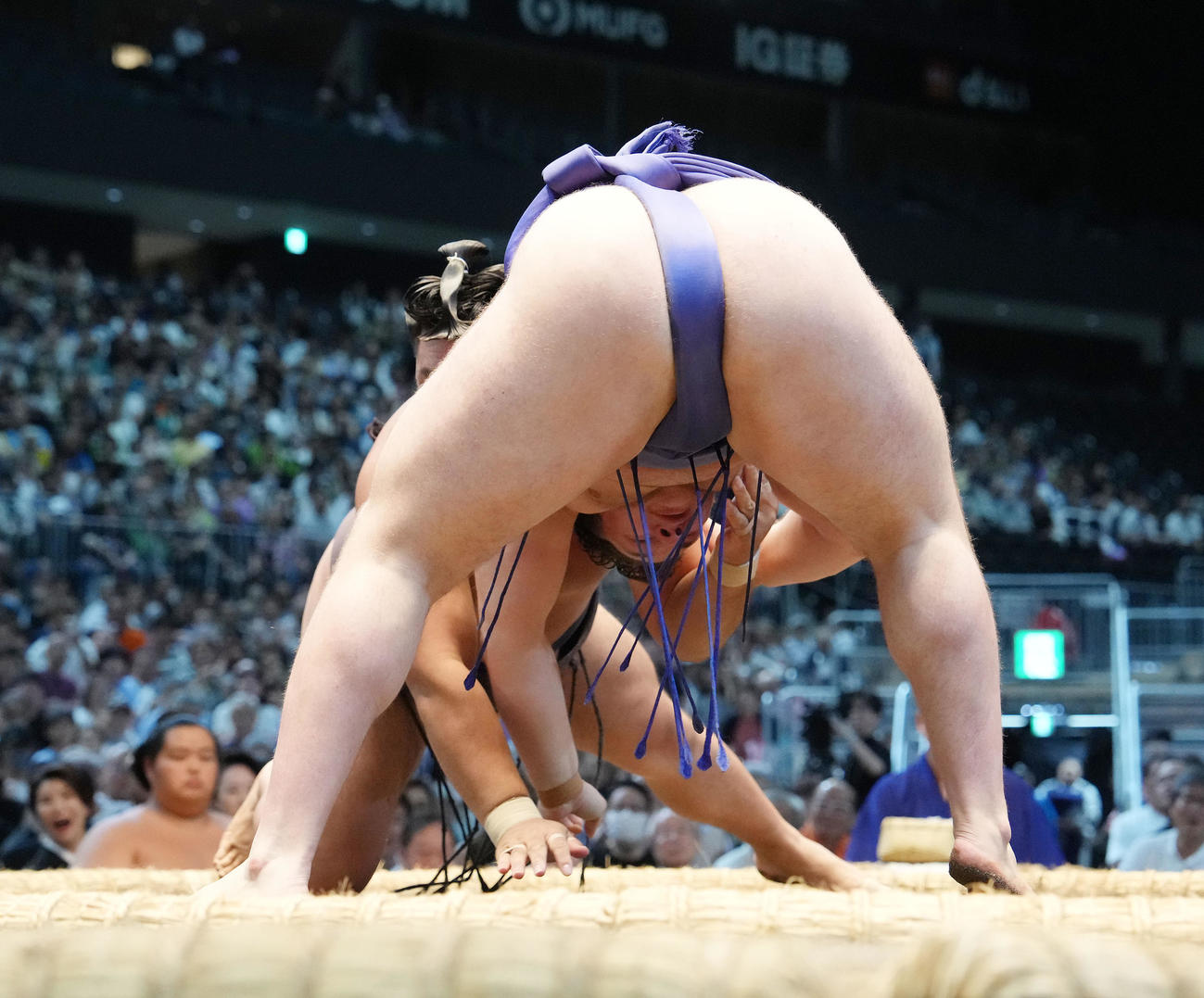 安青錦（手前）は内無双で霧島を破る（撮影・森本幸一）