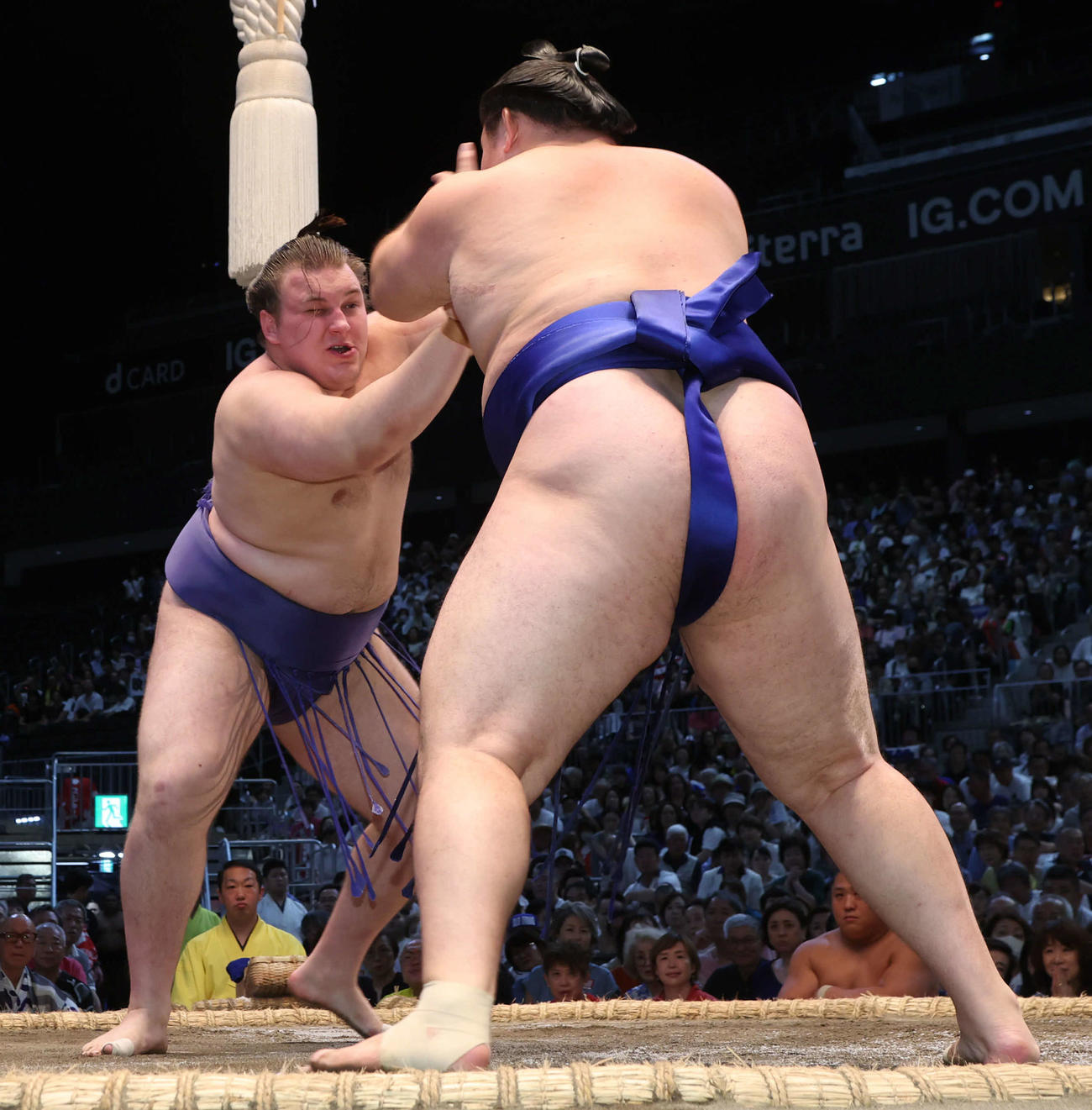 欧勝馬を突っ張りで攻める安青錦。このあと押し出しで勝利した（撮影・西尾就之）