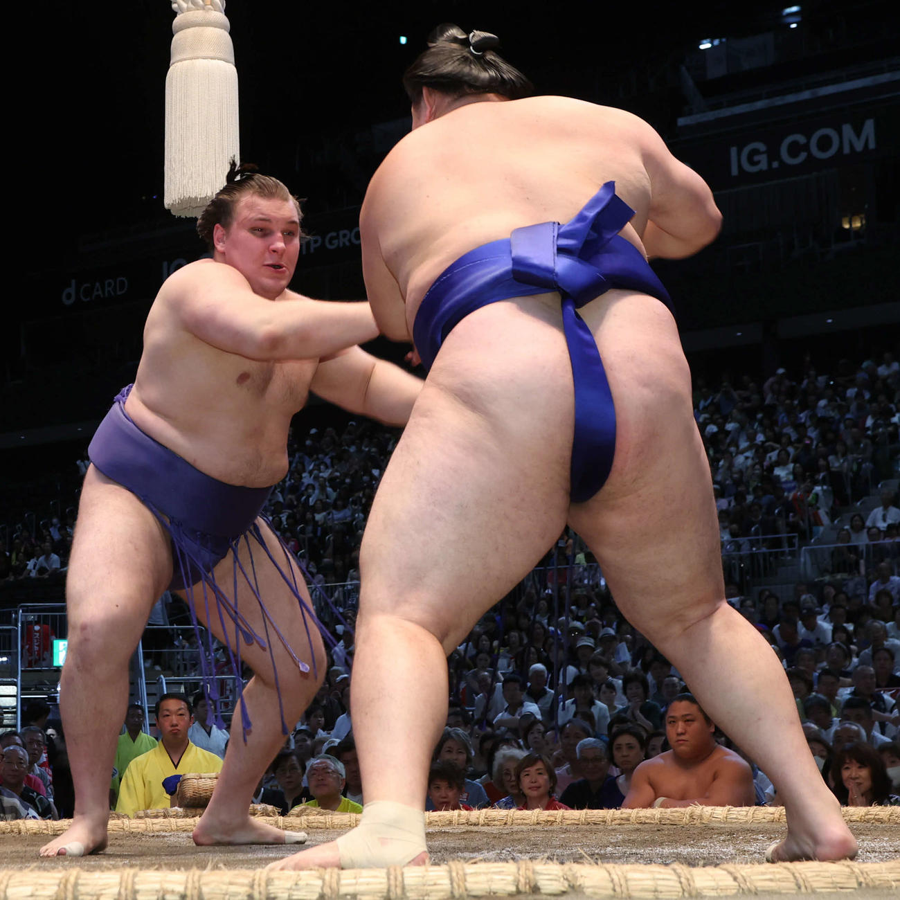 欧勝馬を突っ張りで攻める安青錦。このあと押し出しで勝利した（撮影・西尾就之）