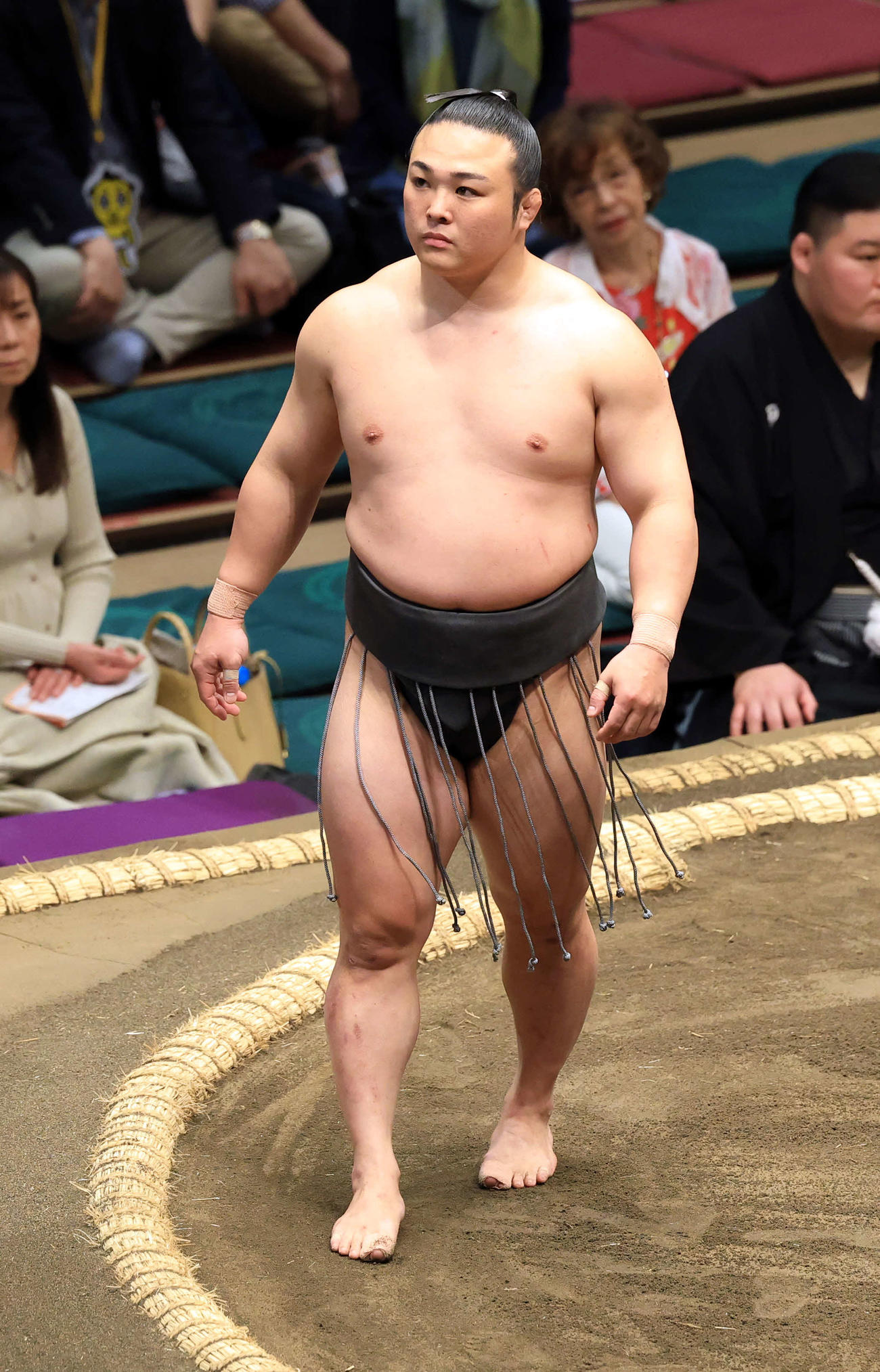 炎鵬（2025年5月撮影）