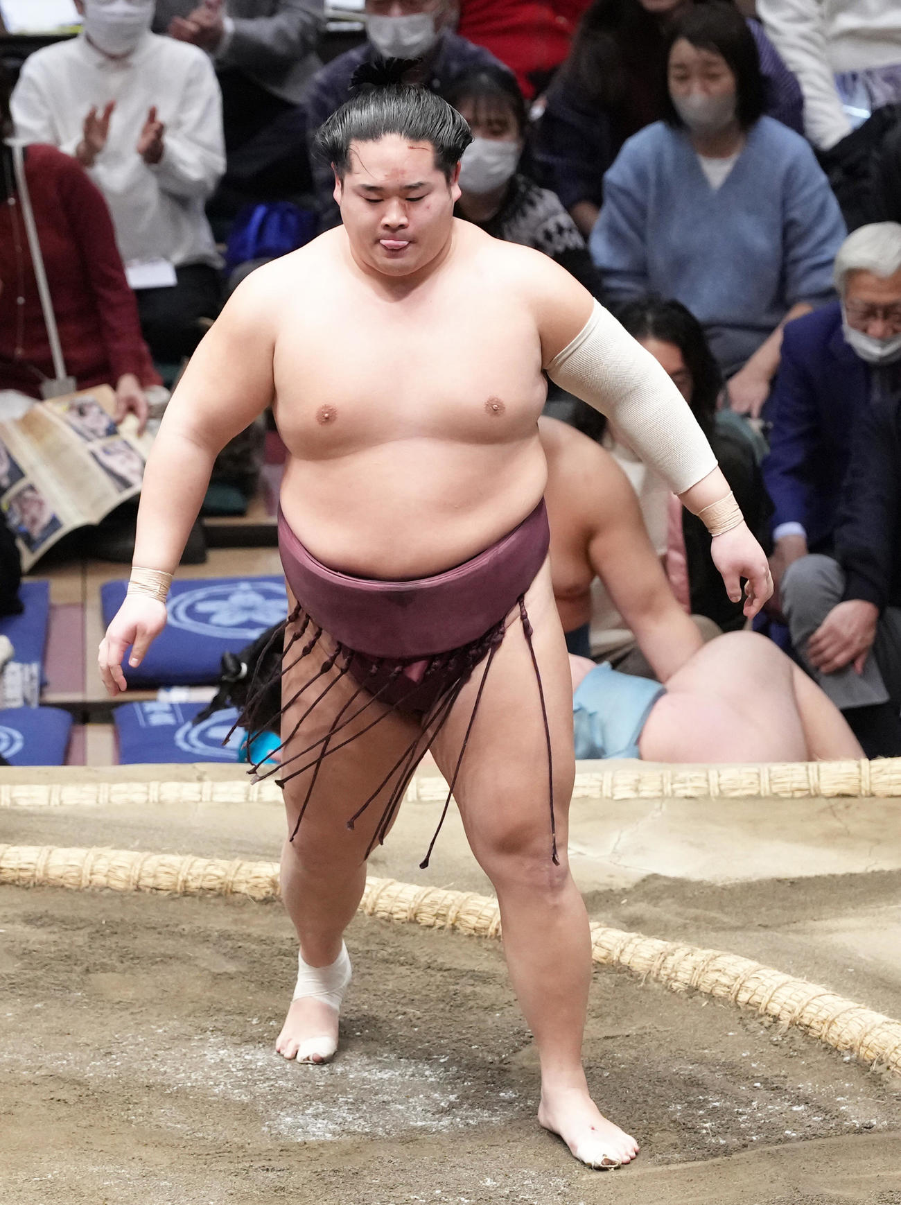 錦富士（2025年1月撮影）