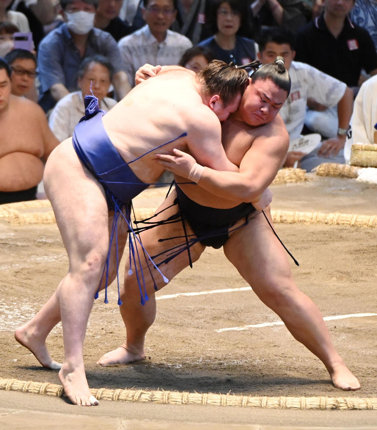 草野（右）は安青錦を寄り切りで破る（撮影・森本幸一）