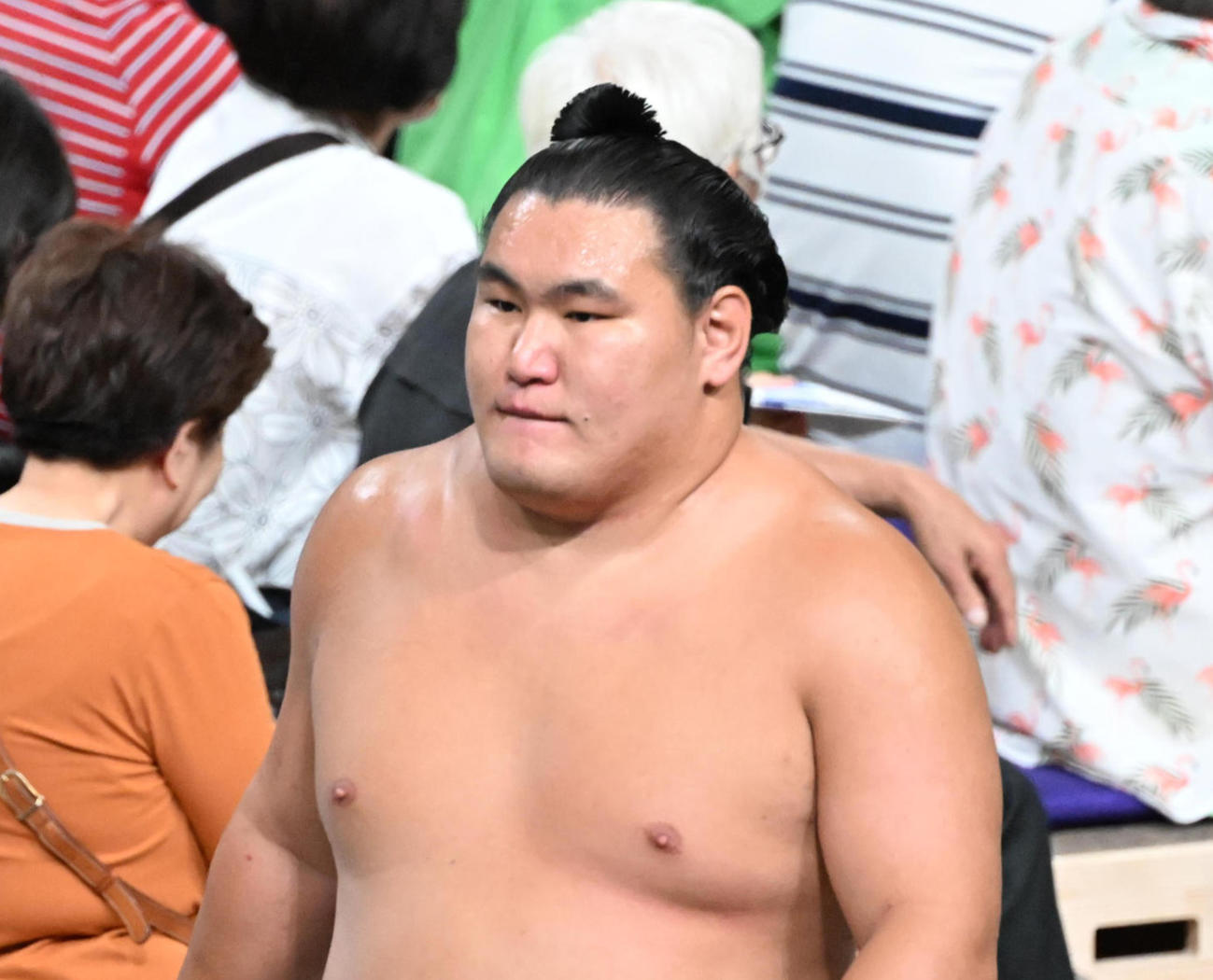 豊昇龍