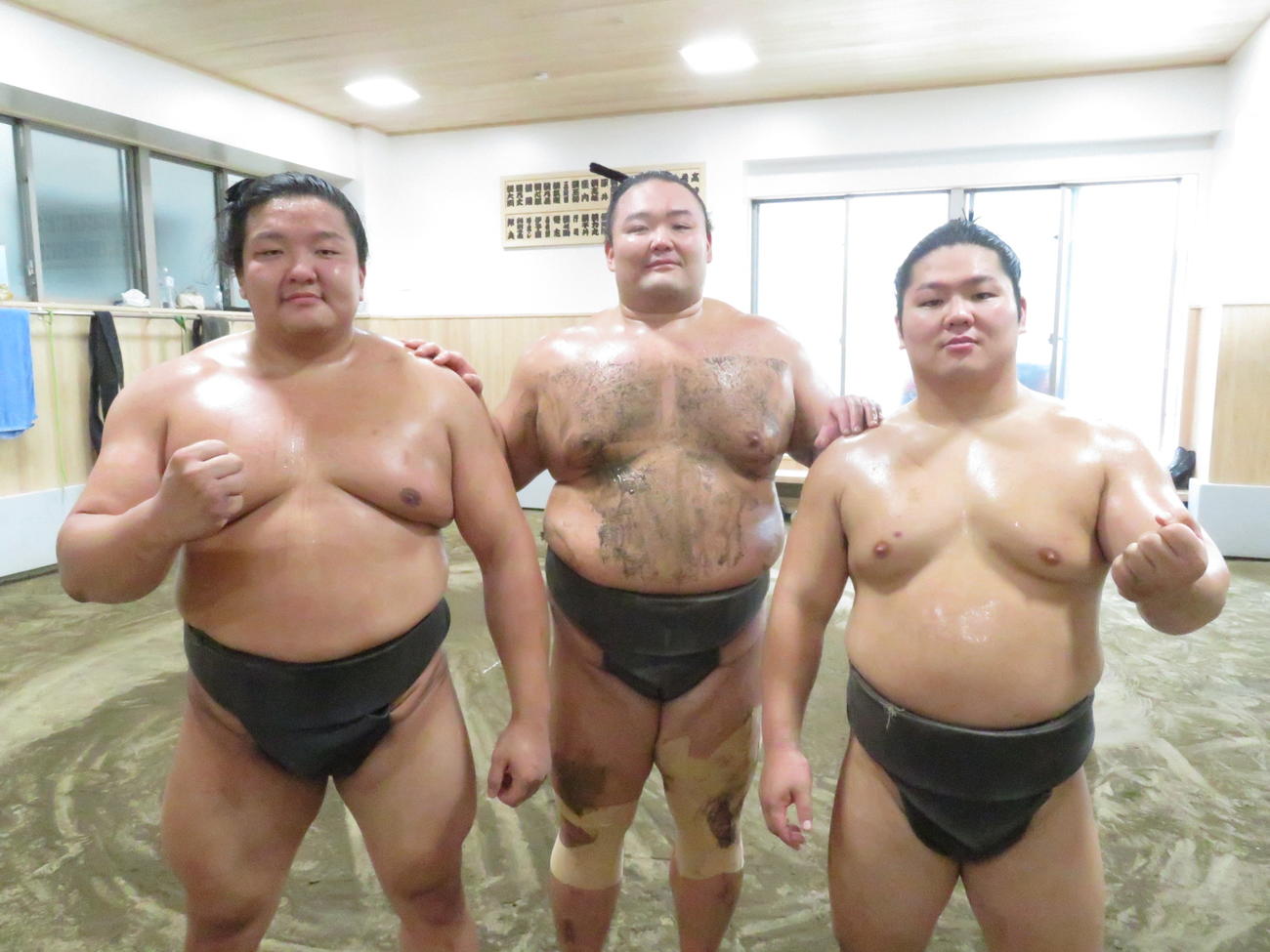 新十両昇進の、左から朝白龍、朝乃山、朝翠龍