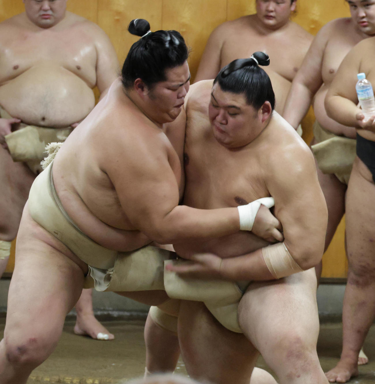 三番稽古で激しくぶつかり合う琴桜（左）と大の里（撮影・中島郁夫）