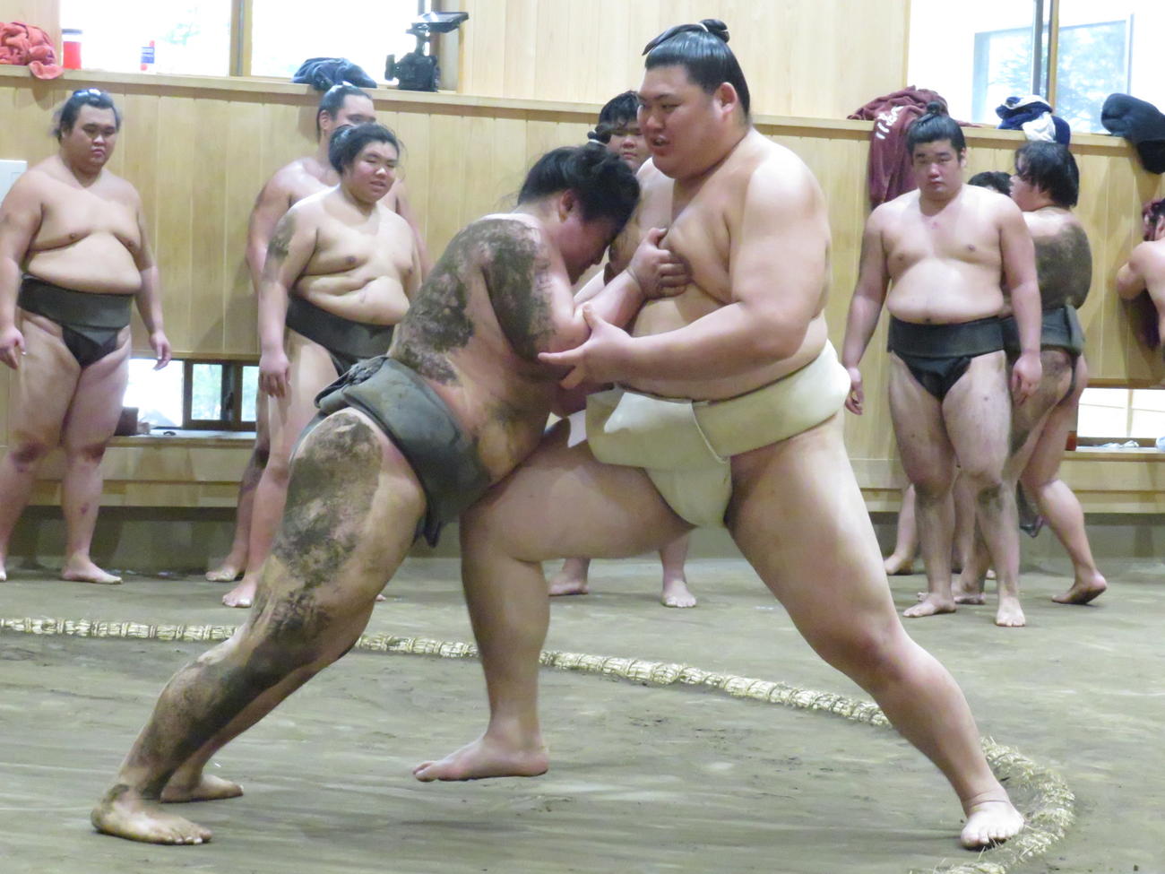 若い衆のぶつかり稽古に胸を出した大の里（手前右）
