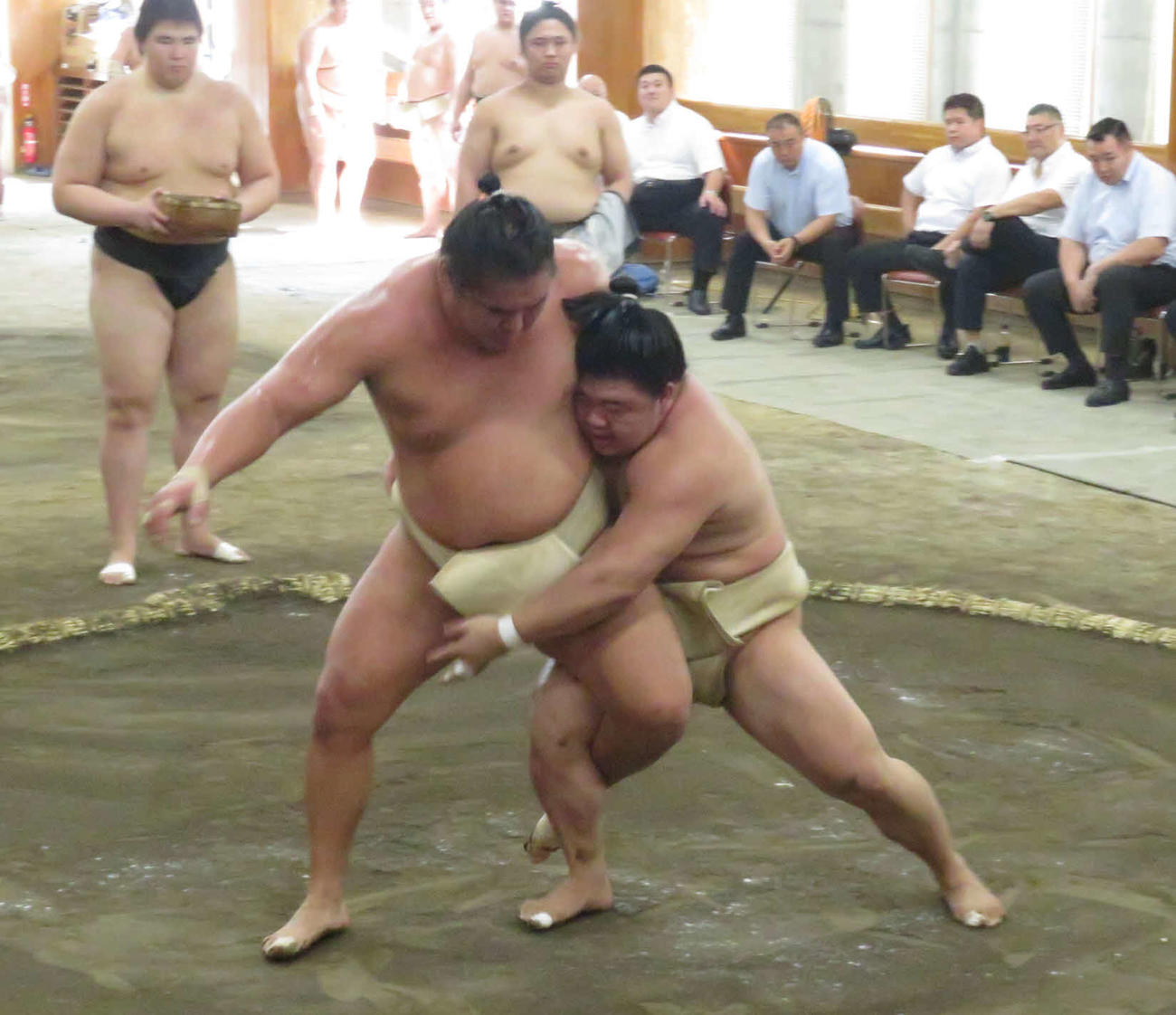 時津風一門の連合稽古で、豊昇龍（手前左）を積極的に攻めた藤ノ川（同右）