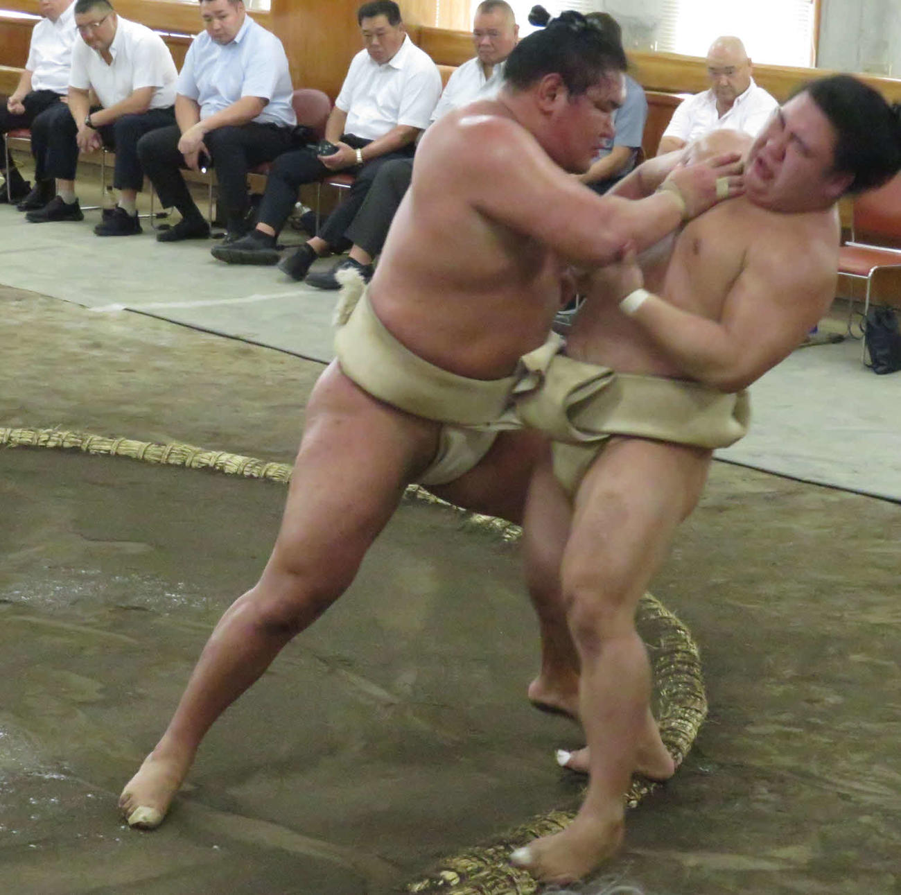 時津風一門の連合稽古に一門外から参加した豊昇龍（手前左）は、藤ノ川（同右）を指名して稽古を重ねた。後方右端は藤ノ川の父の甲山親方